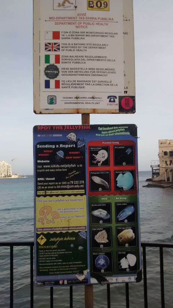 IMG_20141128_091219284