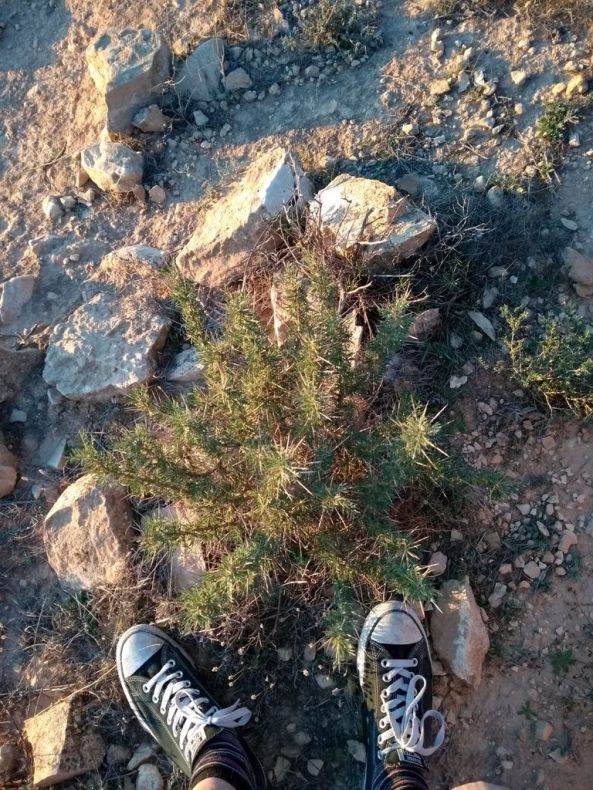 IMG_20191118_170141329 1024.jpg