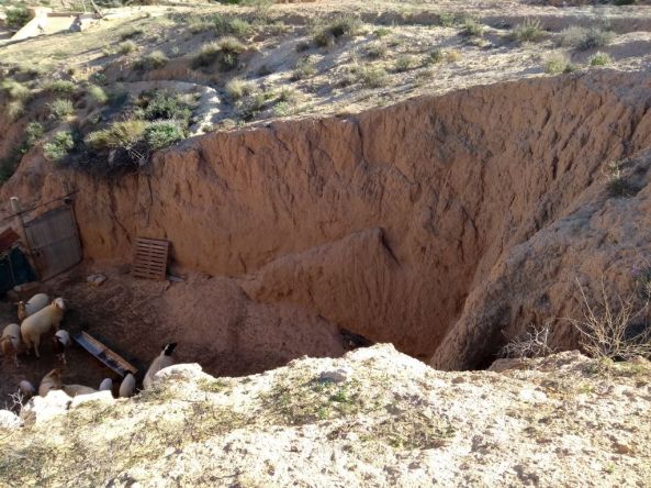 IMG_20191120_145817844 1024.jpg