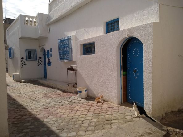 IMG_20191122_112704820 1024