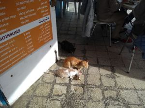 IMG_20191123_133830797 1024