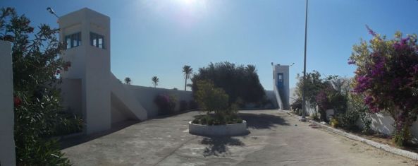 synagogue garden 1024